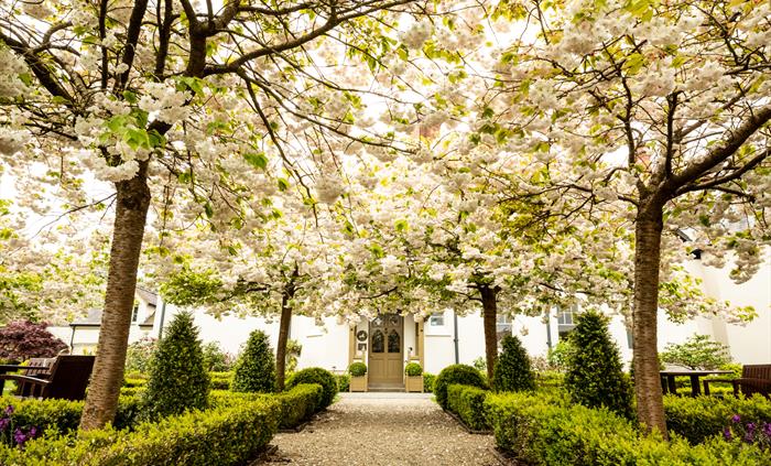 Hotel entrance pathway with trees